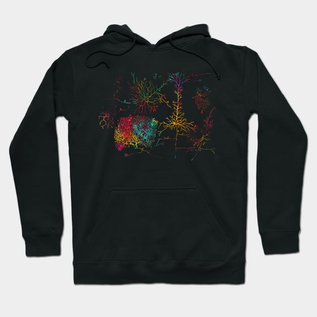 Nerve cells Hoodie by erzebeth